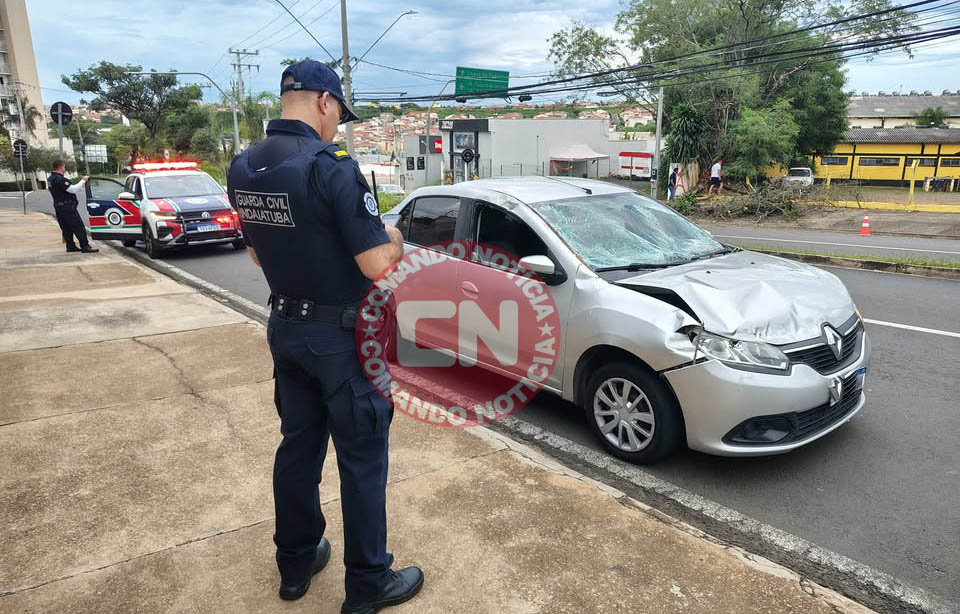 Arvore cai em cima de carro 1