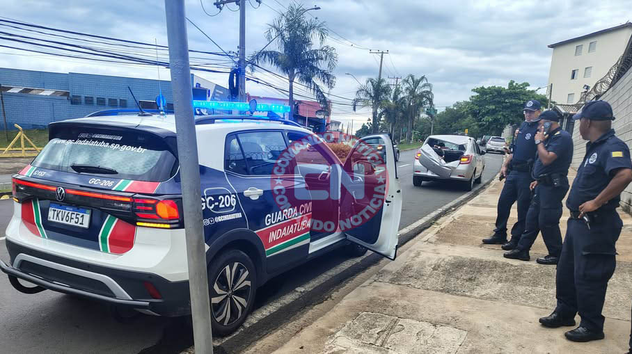 Arvore cai em cima de carro 2