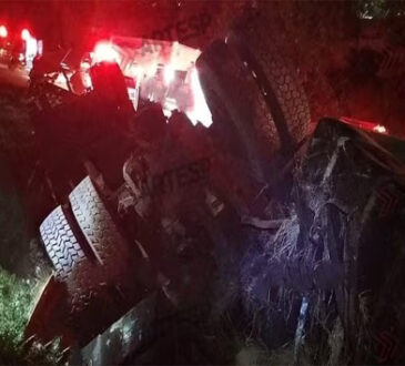 Carreta solvente tomba d pedro