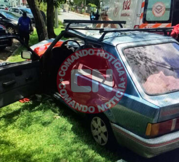 Escort colide com arvore 1