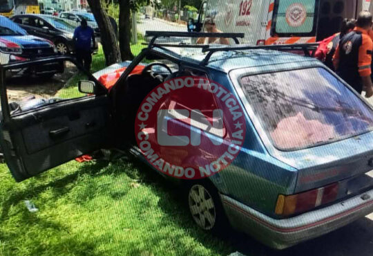 Escort colide com arvore 1