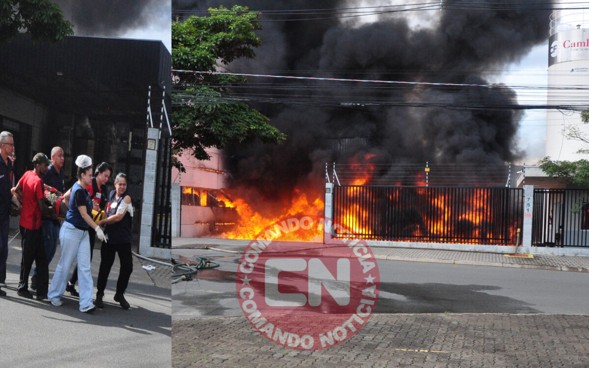 Fogo industria 2026 11 capa