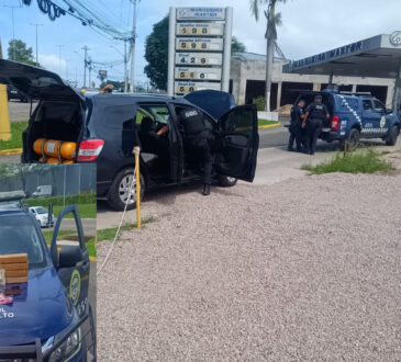 Gcm de salto localiza tijolos de maconha