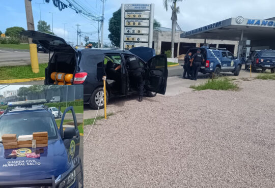 Gcm de salto localiza tijolos de maconha
