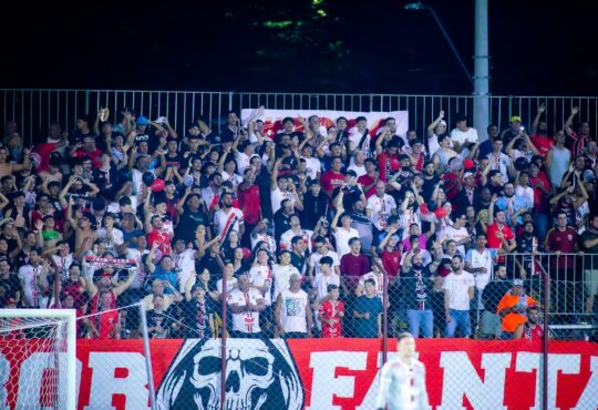 Primavera taina araujo saf