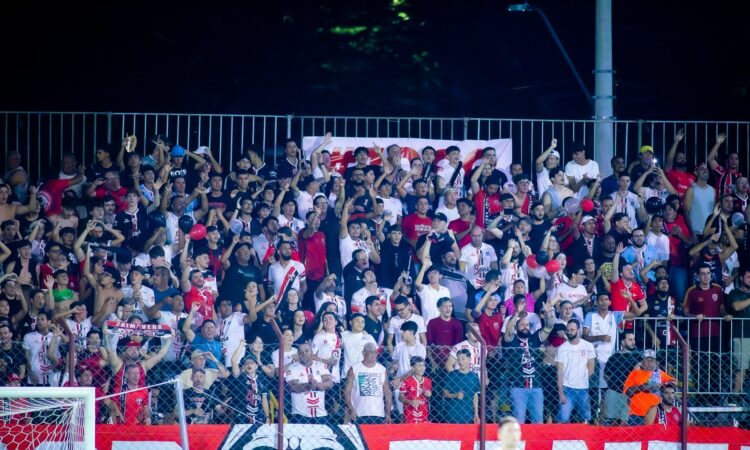 Primavera taina araujo saf