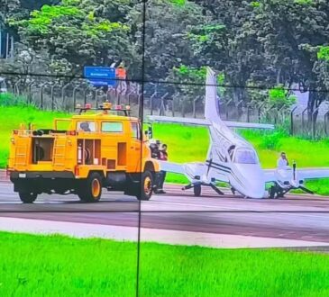 Passaro atinge avião que pouso amarais campinas