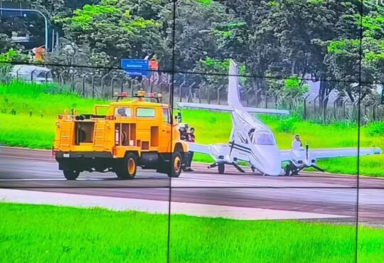 Passaro atinge avião que pouso amarais campinas