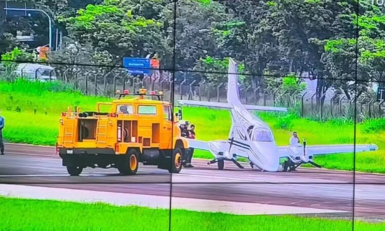 Passaro atinge avião que pouso amarais campinas