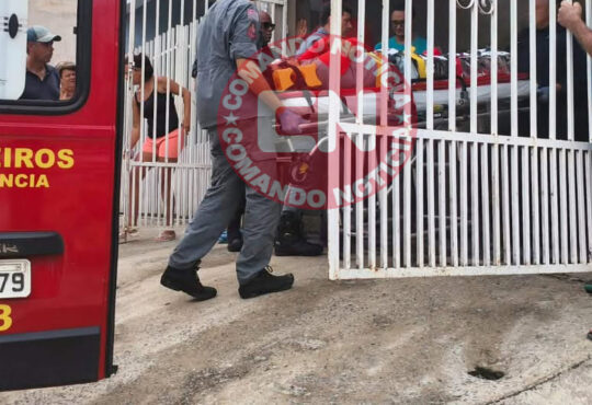 Queda em obra sabias