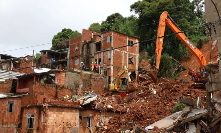 Rovena rosa chuvas em minas gerais