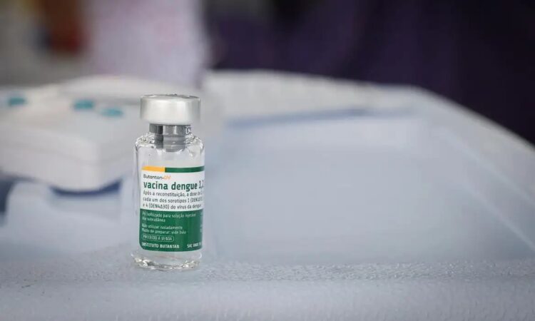 Vacina dengue walterson rosa ms