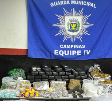 44391d71 24e6 41fd 96de 4be8330439bb