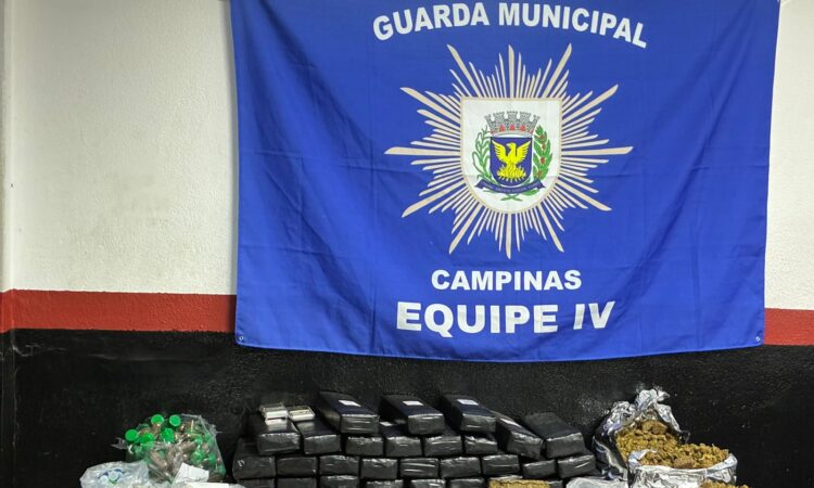 44391d71 24e6 41fd 96de 4be8330439bb