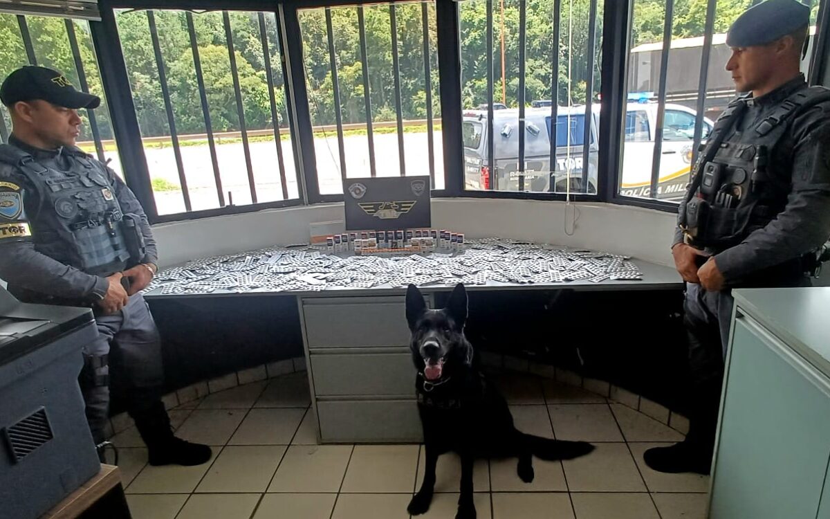 755d36ea bcfd 42c8 9a40 6fa8a9b4a146