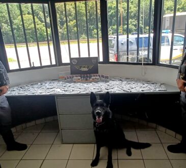 755d36ea bcfd 42c8 9a40 6fa8a9b4a146