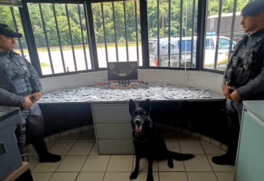 755d36ea bcfd 42c8 9a40 6fa8a9b4a146