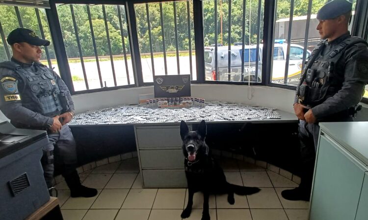 755d36ea bcfd 42c8 9a40 6fa8a9b4a146