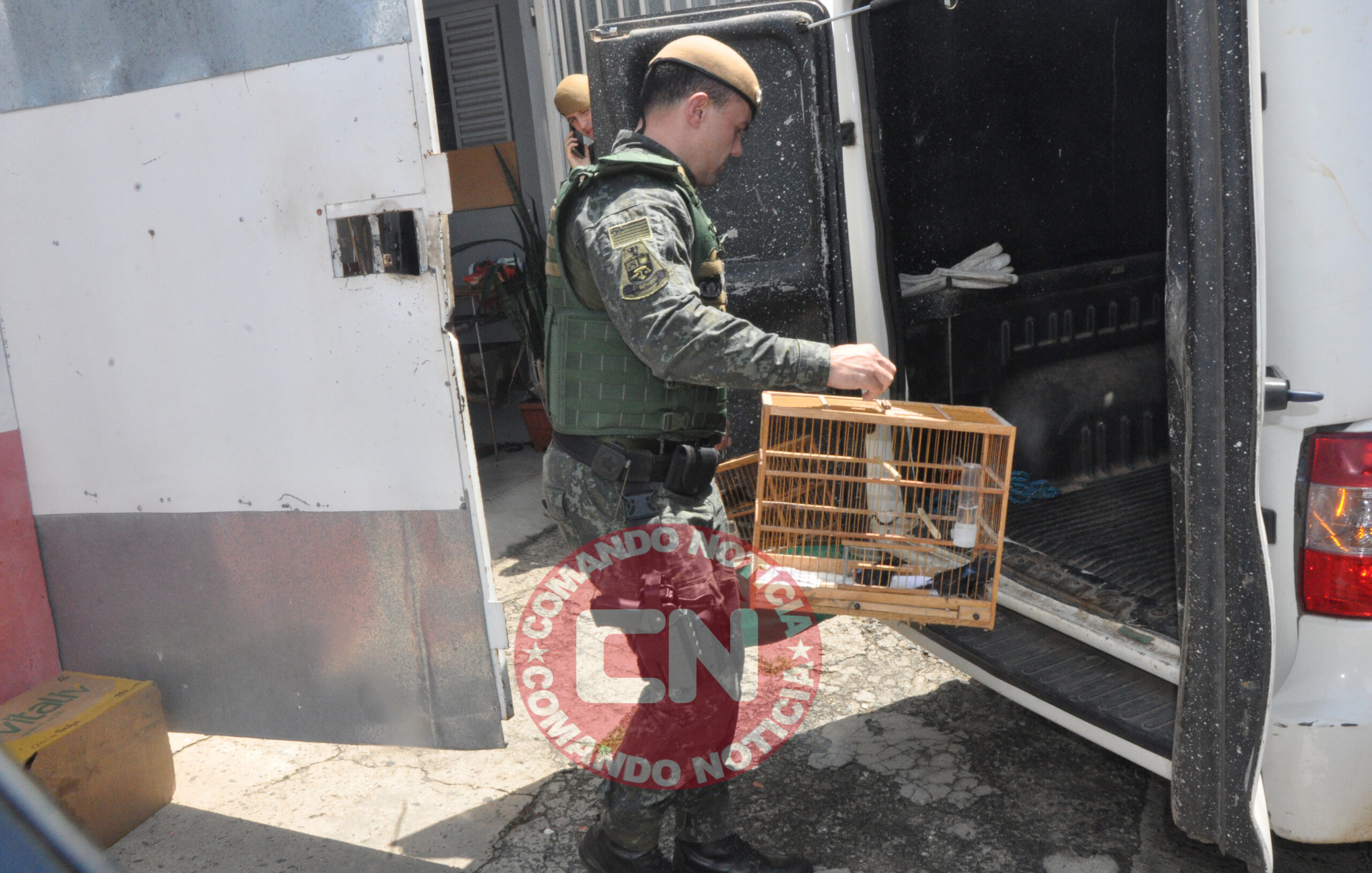 ApreensÃo aves joÃo martini 2