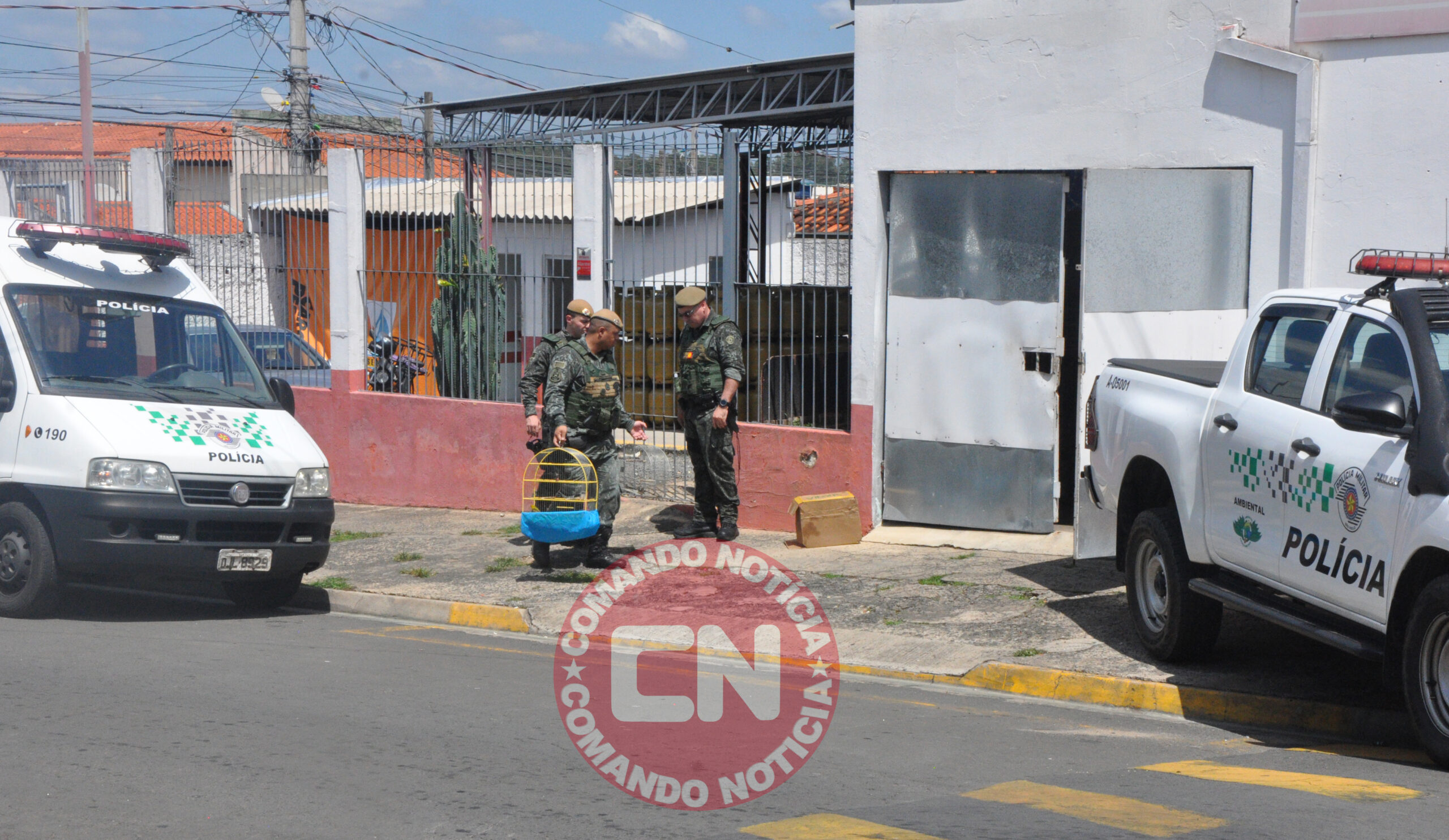 ApreensÃo aves joÃo martini 3