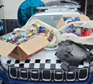 Furto ovos gcm valinhos