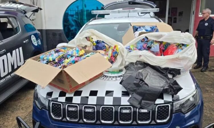 Furto ovos gcm valinhos