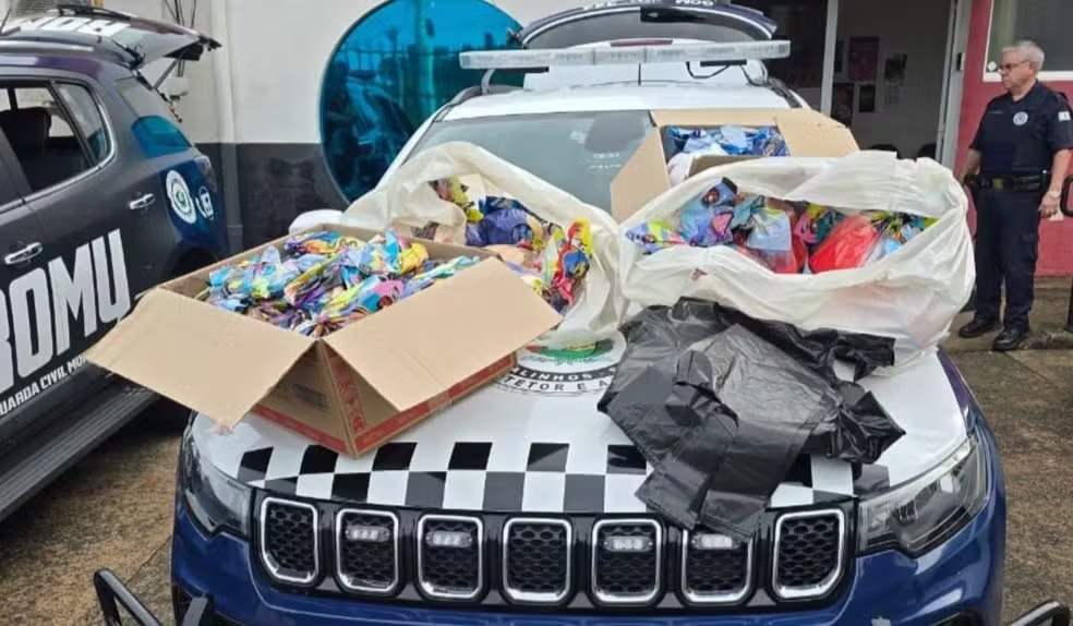 Furto ovos gcm valinhos