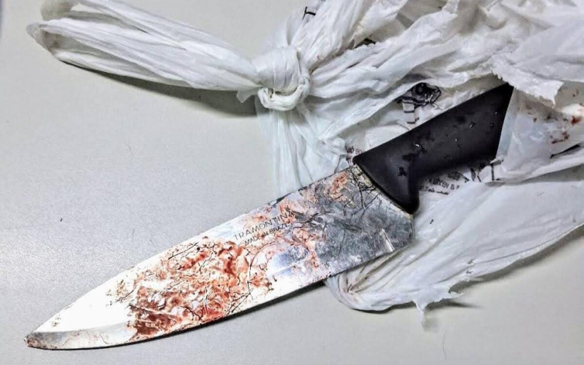 Faca que matou cachorro em jundiaí