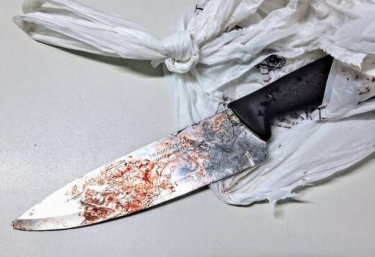 Faca que matou cachorro em jundiaí