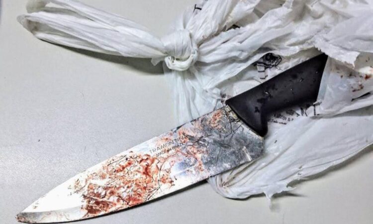 Faca que matou cachorro em jundiaí