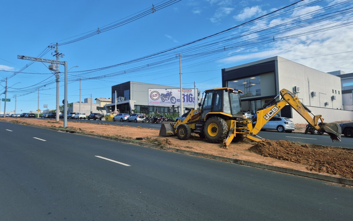 Georgia couto av fabio ferraz bicudo