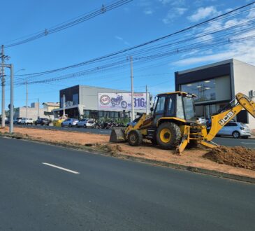 Georgia couto av fabio ferraz bicudo