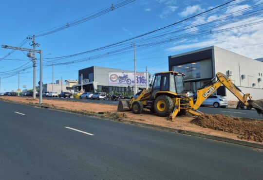 Georgia couto av fabio ferraz bicudo