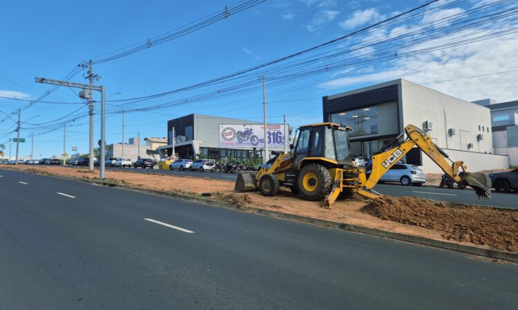 Georgia couto av fabio ferraz bicudo