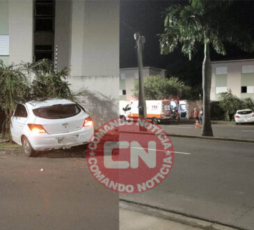 Onix bate em arvore campo bonito cópia