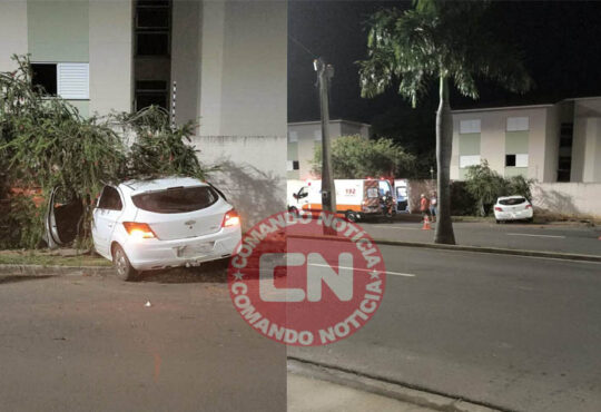 Onix bate em arvore campo bonito cópia