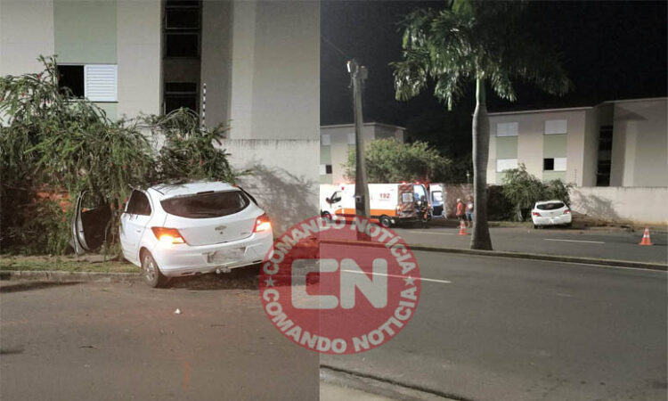Onix bate em arvore campo bonito cópia