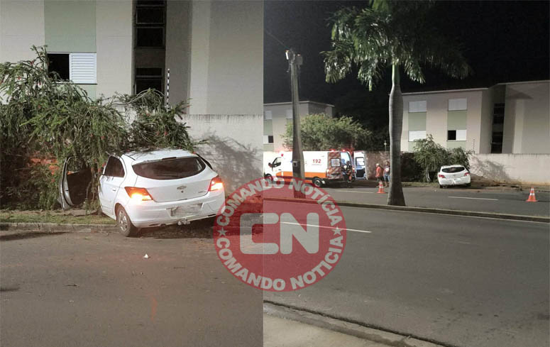 Onix bate em arvore campo bonito cópia