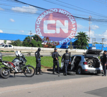 PerseguiÇÃo a ladroes de estepes 1