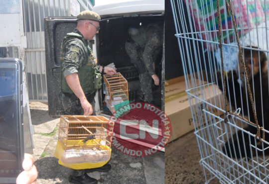 Pm ambiental resgata aves e macaco