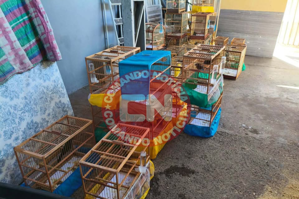 Policia ambiental joÃo martini 2