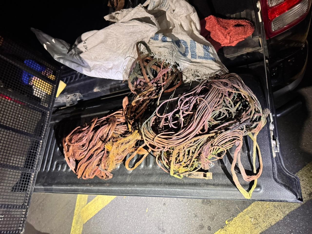 4ffed62d 5ca0 46fb b167 3b7fbedad9aa