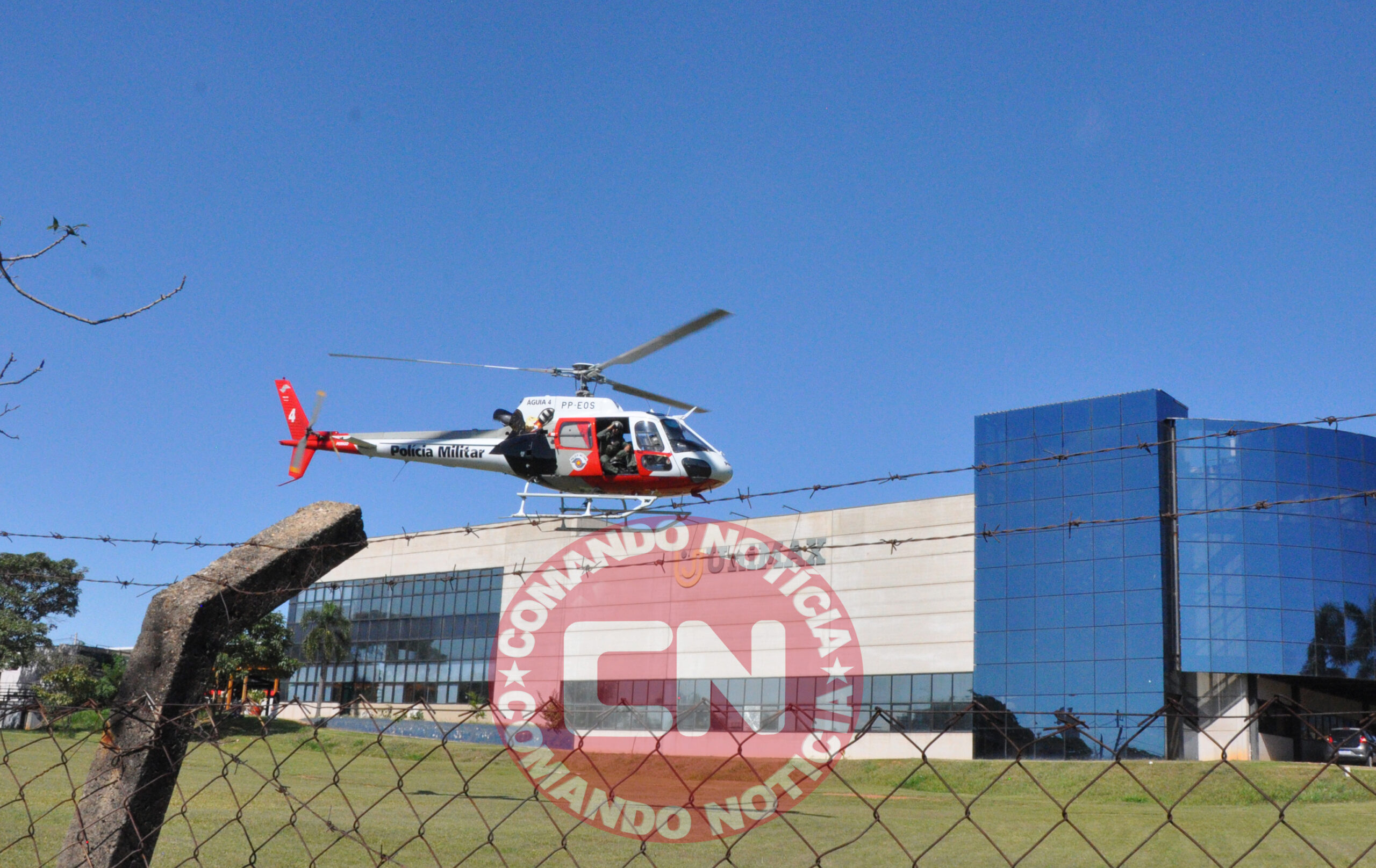 AdoÃo de orgÃos indaiatuba aguia 4