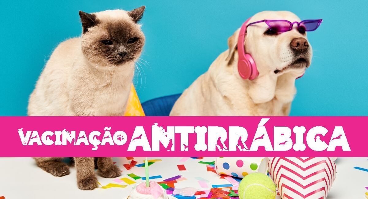 Arte antirrabica 2026