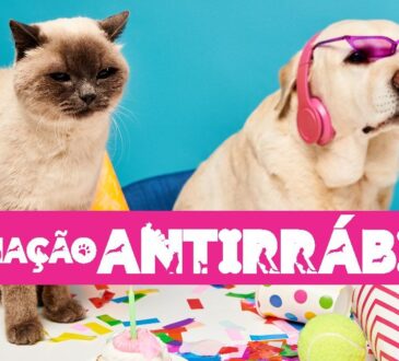 Arte antirrabica 2026