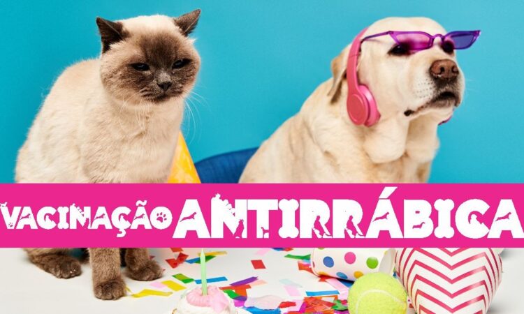 Arte antirrabica 2026