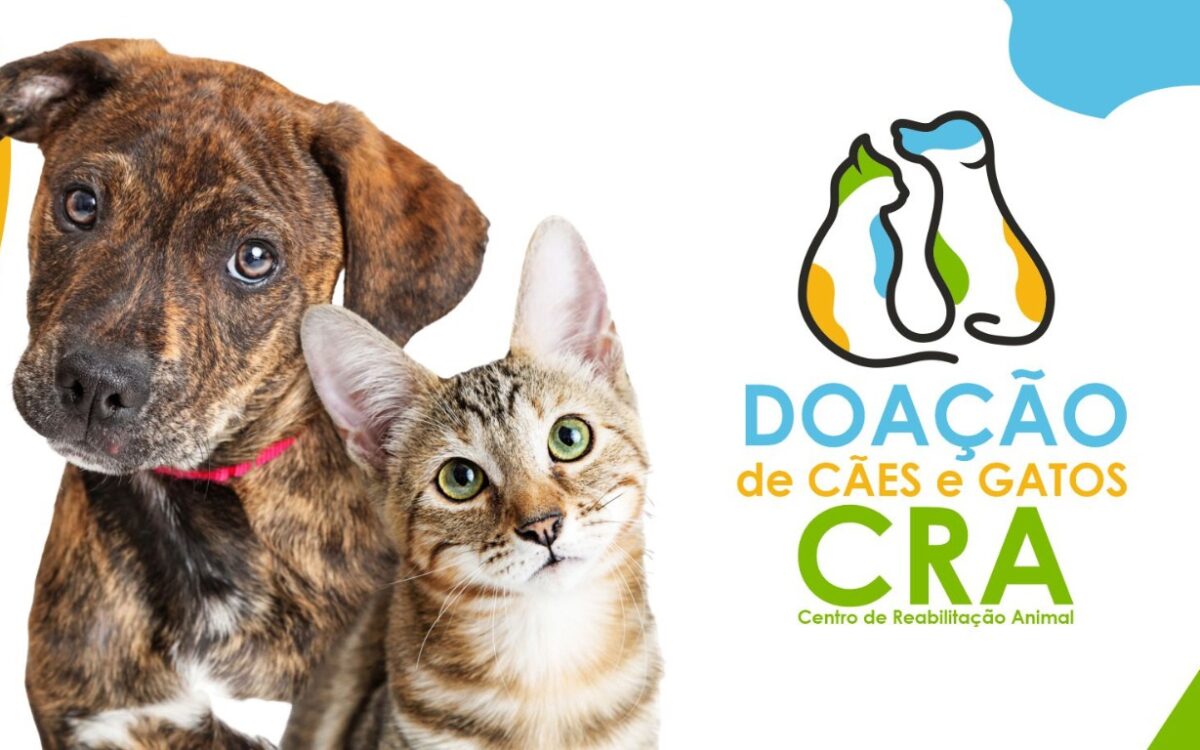 Arte doacao de caes e gatos indaiatuba