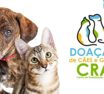 Arte doacao de caes e gatos indaiatuba