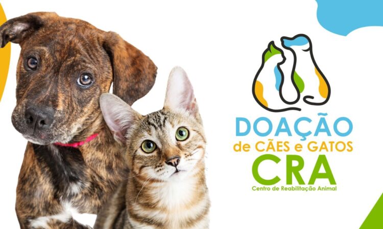 Arte doacao de caes e gatos indaiatuba