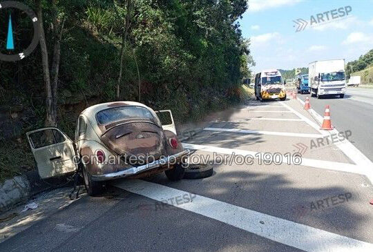 Acidenet fusca são roque